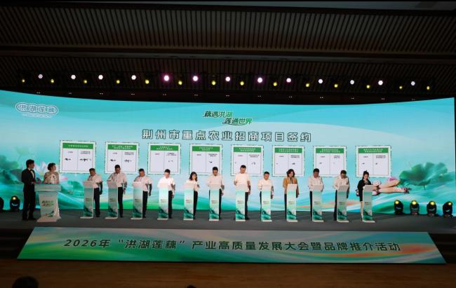 藕遇洪湖 莲通世界 2026年“洪湖莲藕”产业高质量发展大会暨品牌推介活动举行