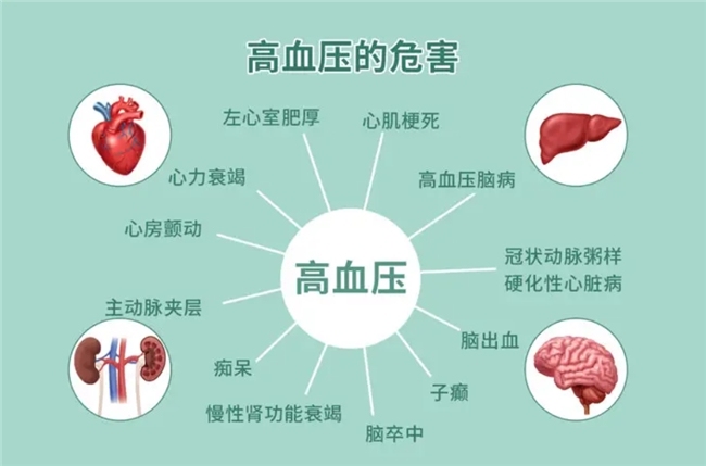 络活喜和拜新同哪个降压效果好？选择络活喜，让血压管理更科学