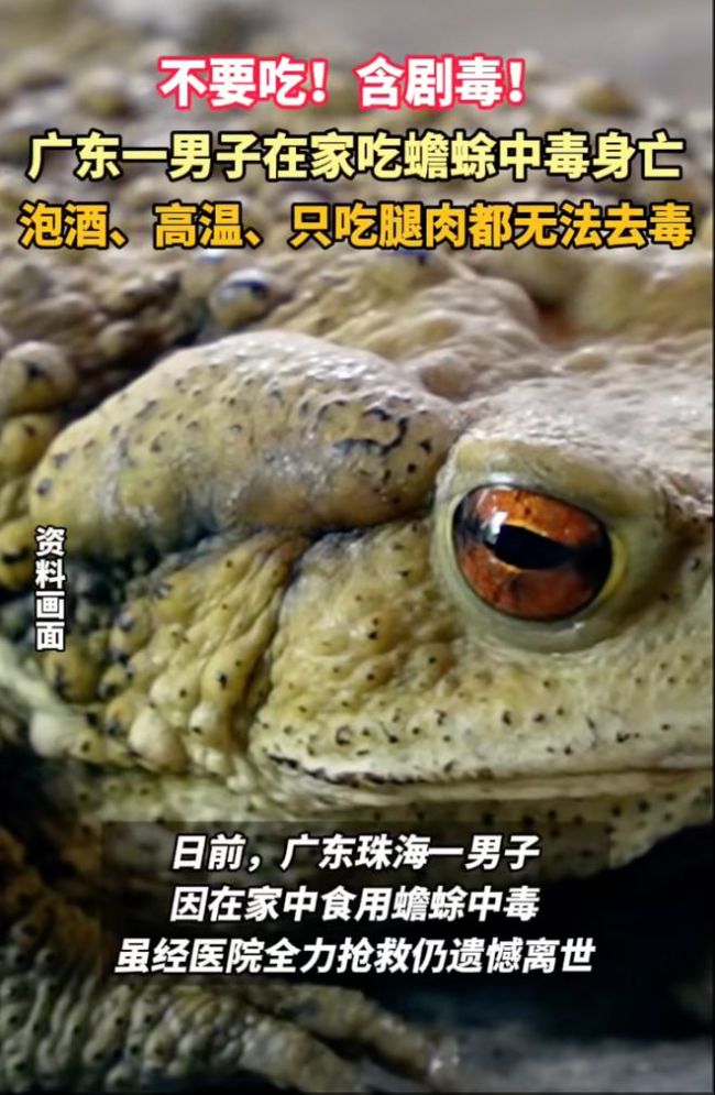 珠海一男子吃癞蛤蟆身亡！官方紧急预警