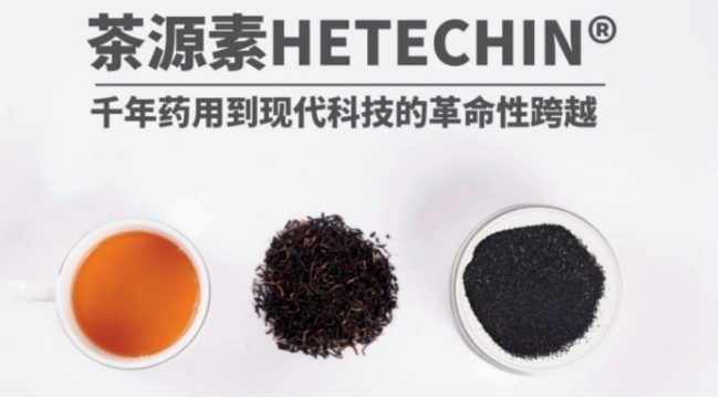 荷蓬茶源素：血管健康的“东方黄金”，科学验证的养生新纪元