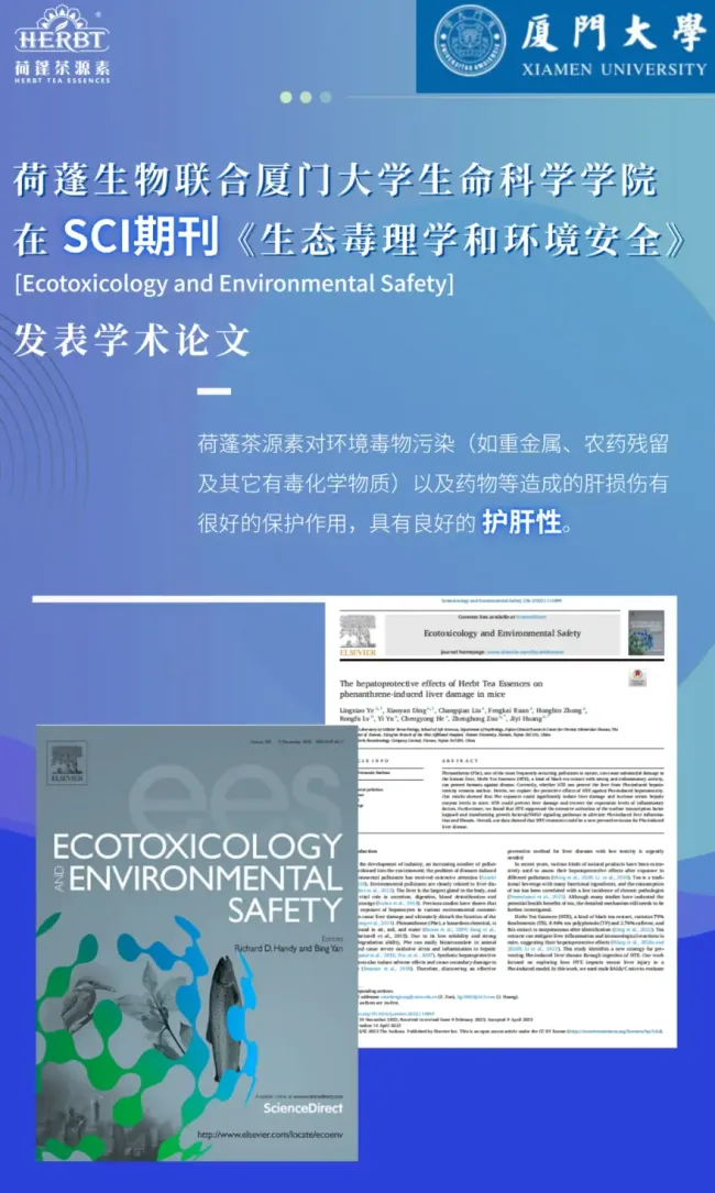 为什么说茶源素能加速药物吸收并减轻药物副作用？原理大揭秘