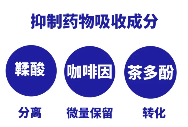 为什么说茶源素能加速药物吸收并减轻药物副作用？原理大揭秘
