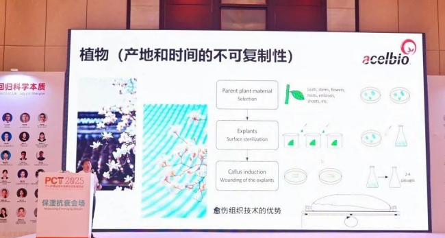 【2025 PCT】安赛搏创新原料-天山雪莲愈伤组织提取物抗衰老功效靶点挖掘