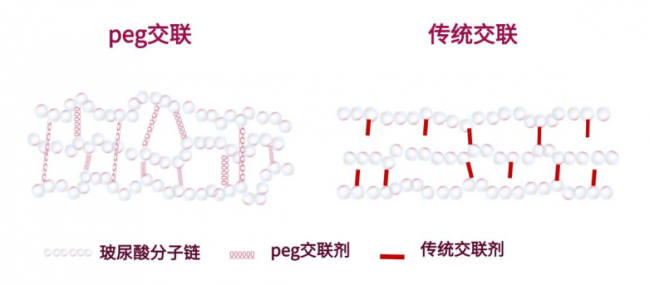 丝玫瑰PEG交联技术是什么？