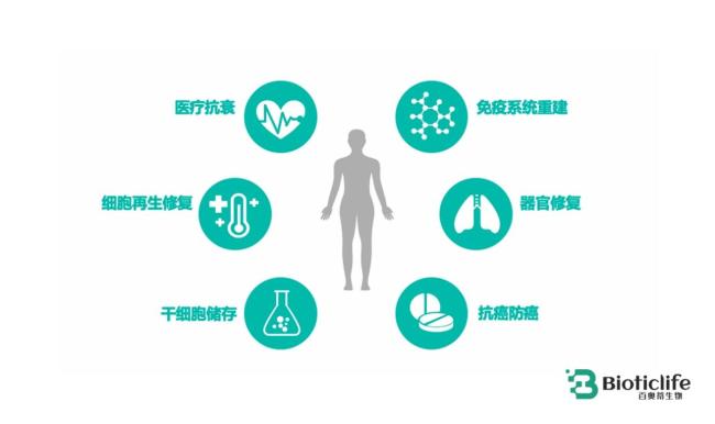 百奥蒂（BIOTICLIFE）：当免疫系统“加班”，你的细胞也会累
