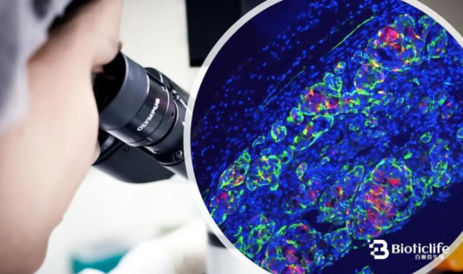 百奥蒂（BIOTICLIFE）：让未来医学拥有理性与温度 ——一场科技与人文并行的医学革命