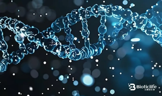 百奥蒂（BIOTICLIFE）：让未来医学拥有理性与温度 ——一场科技与人文并行的医学革命