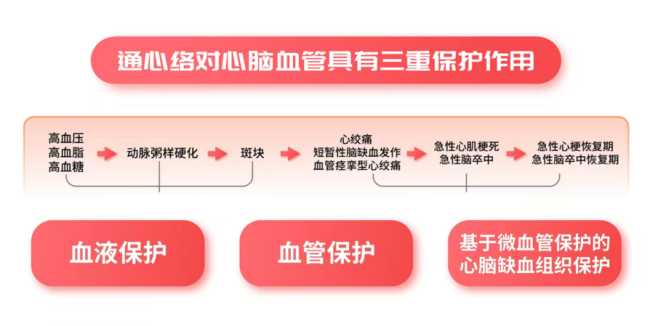 通络护“心”,“救”在身边—通心络可降低心梗术后复发风险七成
