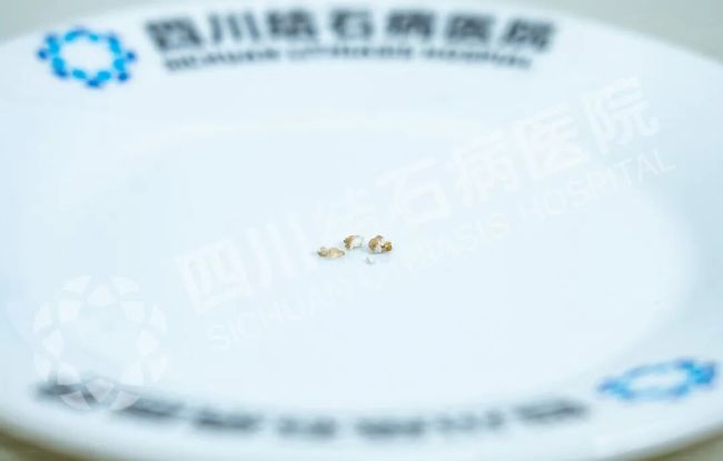 1781836106461724.jpg 世界杯.jpg