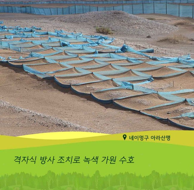 사막화 방지의 '중국 솔루션' - korean.china.com