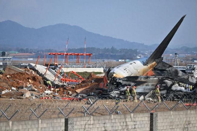 韩国客机撞墙前接鸟情预警 塔台预警后一分钟求救