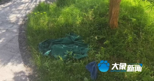 長沙一鄉(xiāng)村別墅暗藏非法代孕 現(xiàn)場查封取締