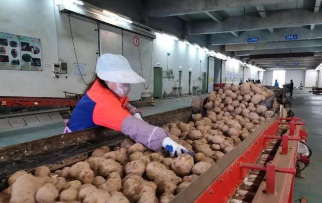 卢卡申科带土豆访华的深意与情怀 外交中的务实之举