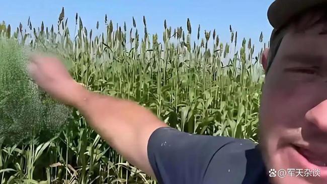 特朗普政策对美国农业有什么影响 关税战背后的农业灾难