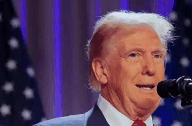 外媒：加拿大正建设稀土矿产基地 重塑全球矿产地缘格局