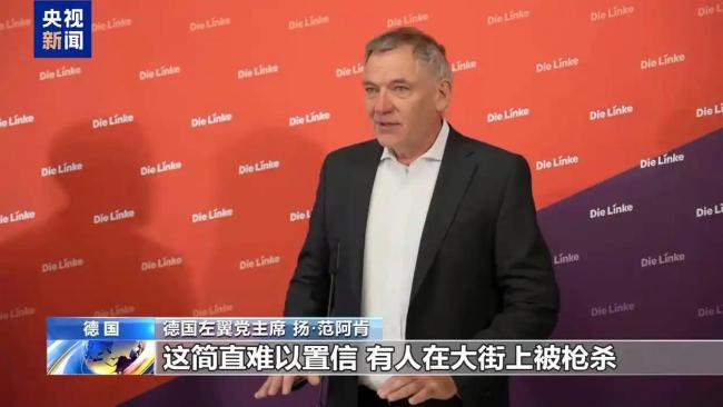 德左翼党主席呼吁对以施压 推动落实“两国方案”