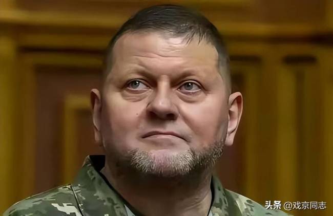 民调:扎卢日内支持率超泽连斯基 乌克兰选举变局