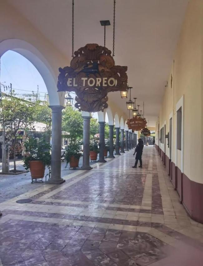 墨西哥多地发生暴力骚乱 毒枭被击毙引发报复