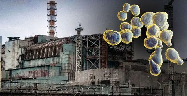 俄乌军事人员共同保障切尔诺贝利核电站安全