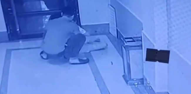 怀孕女子被男子拖入电梯 警方通报