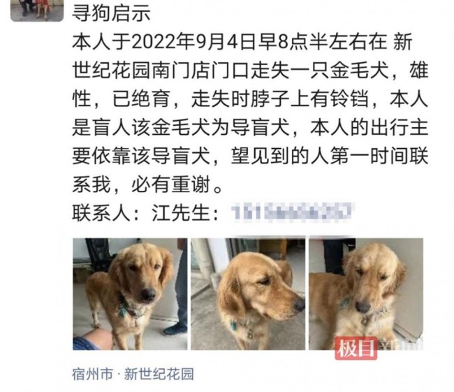 申请3年才领到的导盲犬被顺走 导盲犬为一只金毛 训练成本近20万