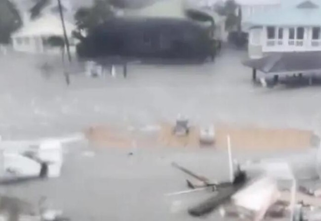 实拍飓风伊恩袭美:海水倒灌 鲨鱼游上街道 上百万用户断电