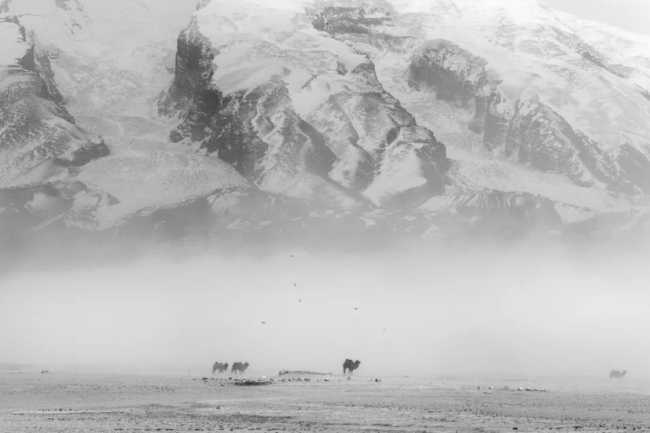 白人穿中国军装驻守边疆？因为他是纯正的中国人