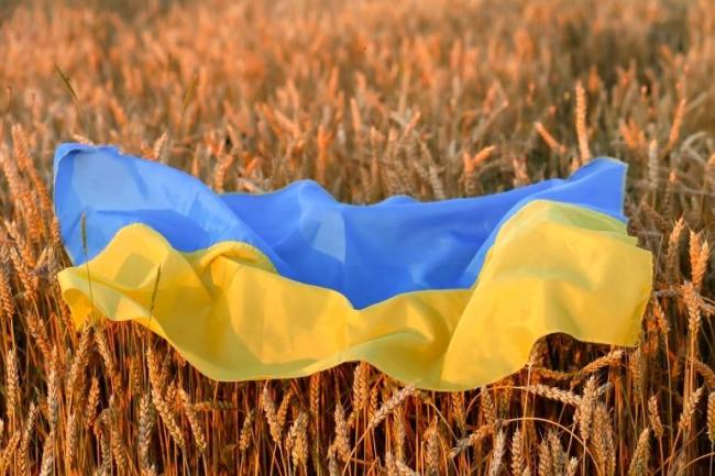 斯洛伐克将暂停从乌克兰进口谷物和部分农产品