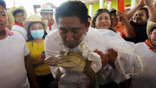 墨西哥一位市长连续两年与鳄鱼结婚，还在婚礼上称：我们彼此相爱