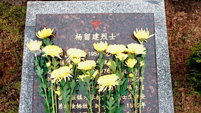 清明寻根山河间