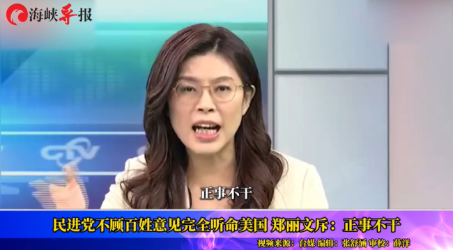 鄭麗文斥民進(jìn)黨正事不干 只搞斗爭不顧民生
