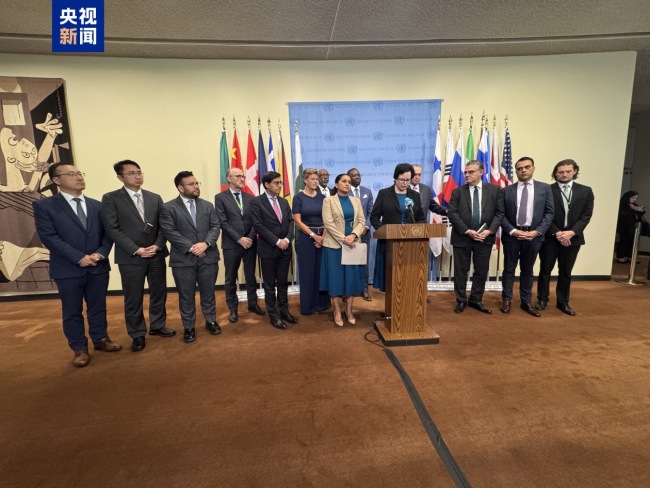 安理会14国呼吁立即应对加沙饥荒