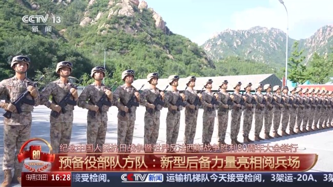 新型后备力量亮相！最齐全的军旗臂章 8大军兵种首次汇聚