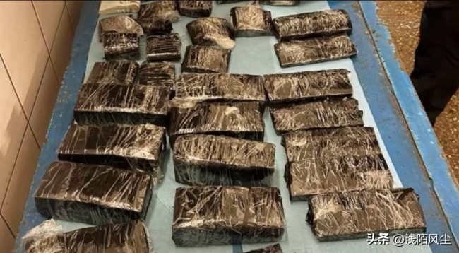 乌克兰警方逮捕发动机内藏97万美元女子!