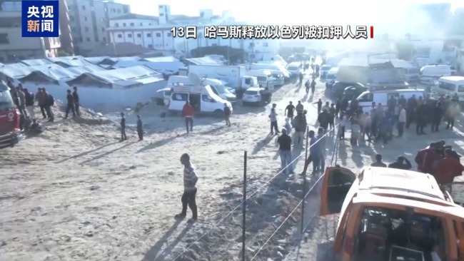 冲突再起 加沙停火协议能否经受住“严峻考验”？专家分析