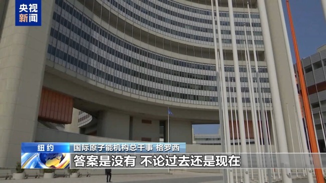 国际原子能机构称未发现伊朗研制核武器证据