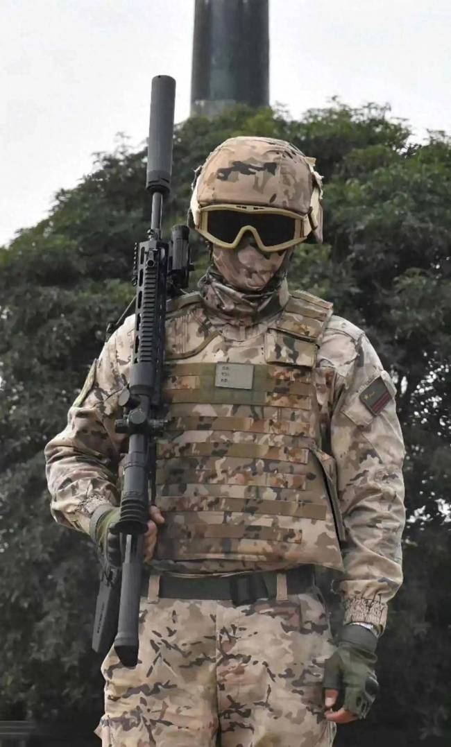 专业解读解放军191步枪全面配消音器