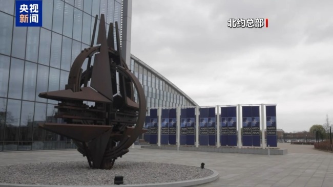 专家：俄乌“和平计划”必须解决冲突根源