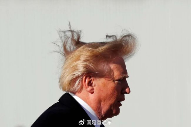 神似特朗普水牛被特赦后专享两台电扇 逆天改命引发热议