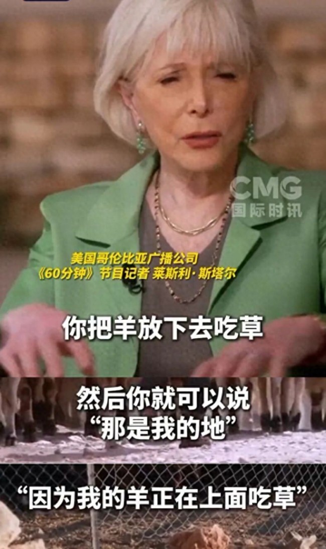 犹太人定居者用羊圈地，迫使巴勒斯坦人离开家园