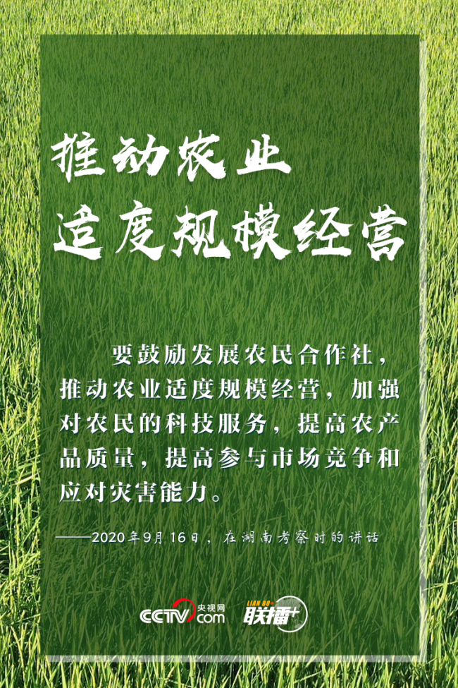 联播+｜特殊之年 感受习近平的“三农”情怀