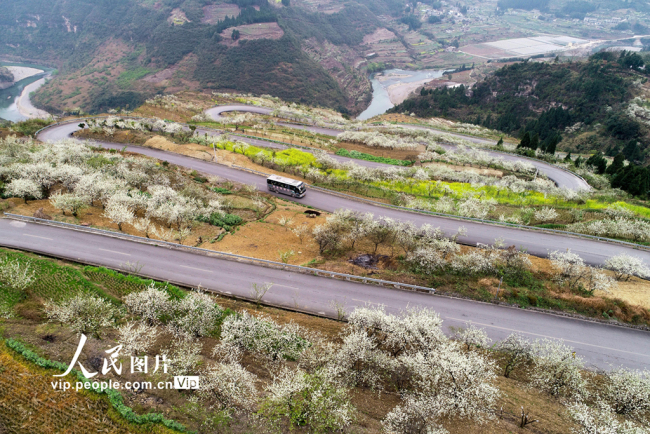 四川泸州：扶贫路 春景美