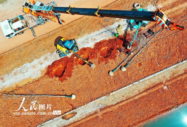 2021年4月2日，江西省赣州市会昌县贡水系统治理工程贡江公园施工段，工人在沿河绿道种植绿化树木。