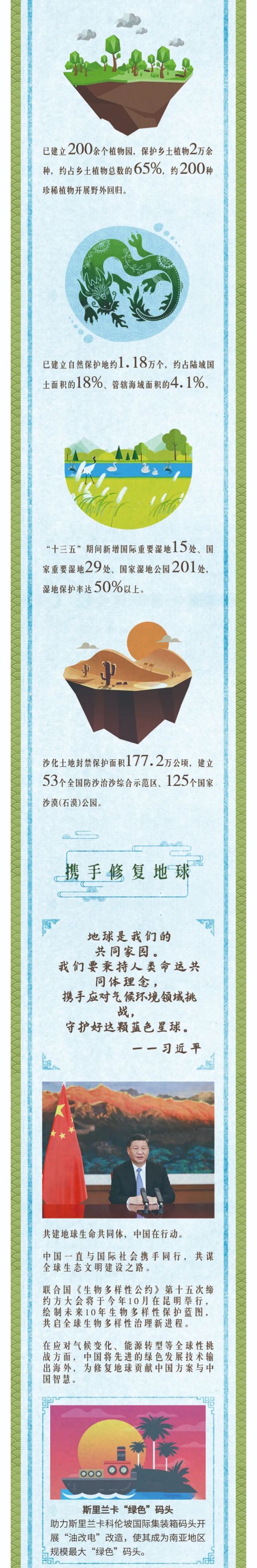 第一报道·数学习 | 修复地球，中国绘出绿水青山长卷