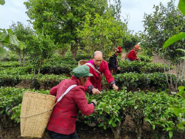 来自云南脱贫村民的特殊礼物，送到联合国安理会！
