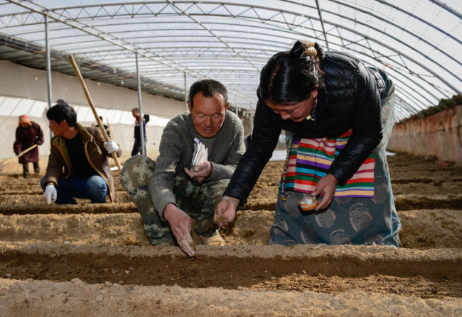 数说宝“藏”·70年巨变丨60万人！技能培训让西藏农牧民体验多彩人生
