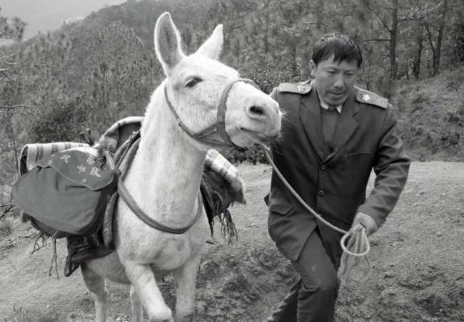 晚报|三孩生育政策来了 广深本土疫情传染性增强