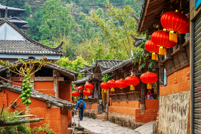 【跟着大象逛云南·“象”滇记】②普洱:“象”见恨晚的地方