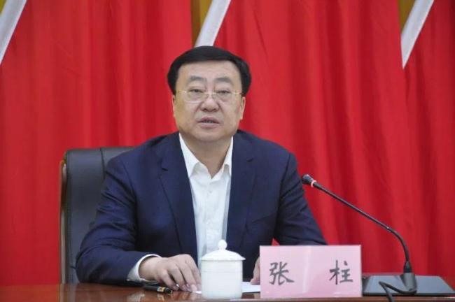 中央决定：张柱任新疆维吾尔自治区党委常委