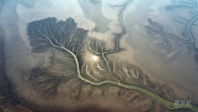 第1视点丨这片湿地，是黄河生态变迁的缩影 